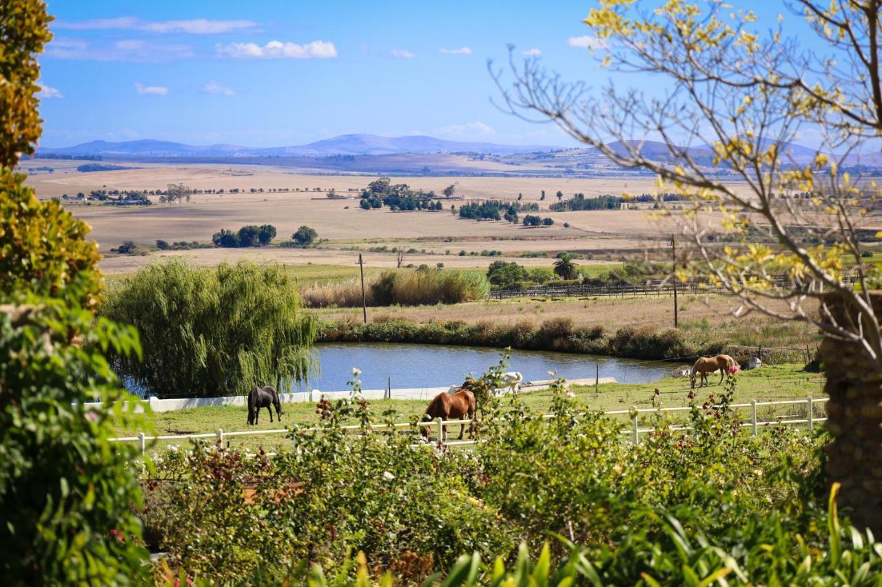 Landskroon Cottage Paarl Exterior photo